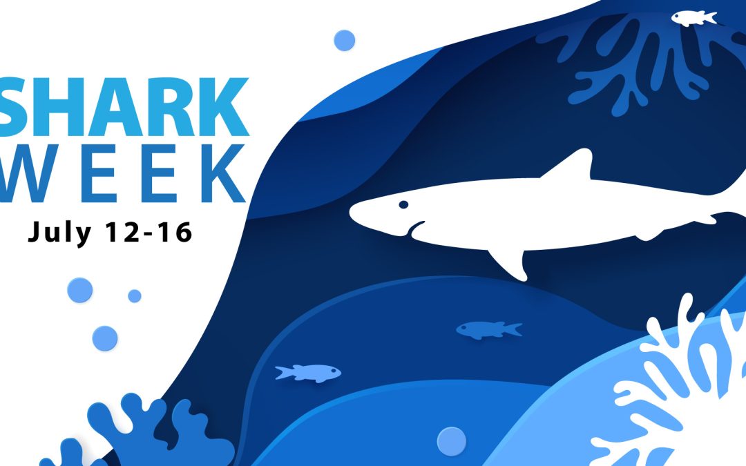 Shark Week July 12-16
