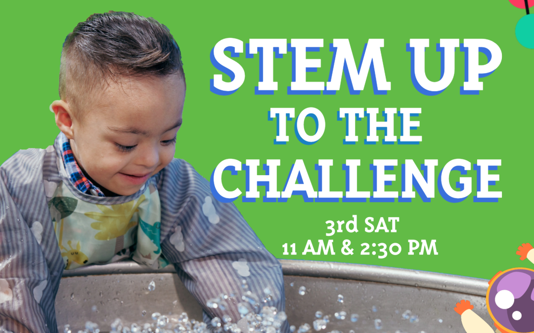 STEM UP to the Challenge!